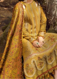 Grace-Embroidered 3pc Lawn Dress With Printed Lawn Dupatta.